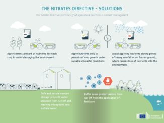 thumbnail of nitrates_directive_solutions_infographic
